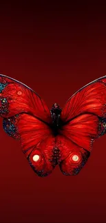 Vibrant red butterfly with colorful wings on a deep red background.