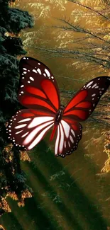 Red butterfly in a forest setting, vibrant and serene.