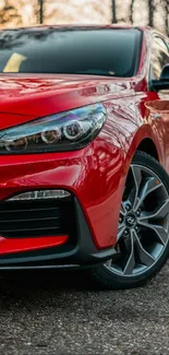 Close-up of a vibrant red car on a scenic background.