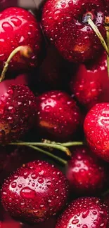 Mobile wallpaper of vibrant red cherries with raindrops.