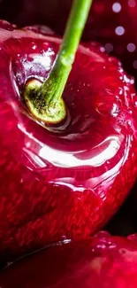 Close-up of juicy, vibrant red cherries with water droplets.