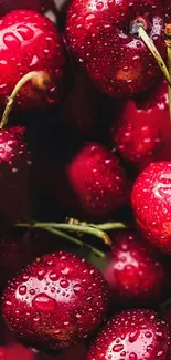 Close-up shot of fresh red cherries with water droplets.