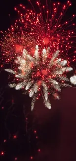 Vibrant red fireworks display illuminating the night sky.