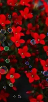 Mobile wallpaper with red flowers and bubbles on a dark background.