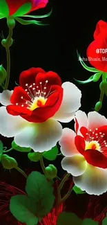 Vibrant red and white flowers on a black background wallpaper.