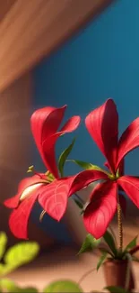 Vibrant red flower against a blue background.