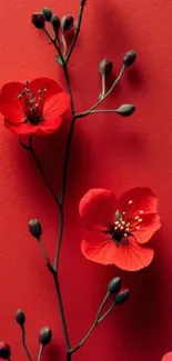 Vibrant red floral wallpaper with delicate flowers and a rich red background.