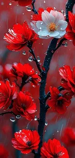 Red blossoms with raindrops on branches.