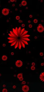 Mobile wallpaper with vibrant red flowers on black background.