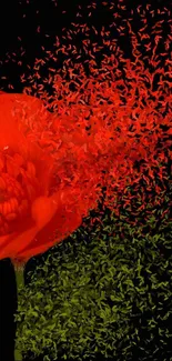 Artistic red poppy flower with vibrant dispersion effect.