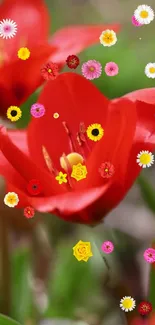 Vibrant red flower wallpaper with colorful blossoms and lush greenery.