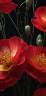 Vibrant red flowers with yellow centers on a dark background.