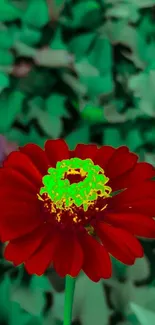 Vivid red flower with lush green leaves background.