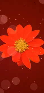 Bright red flower on a vibrant background.