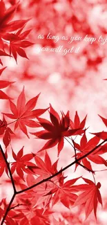 Red leaves with inspirational quote wallpaper.