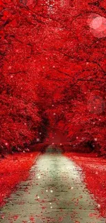 Red forest path with vibrant leaves and tranquil scenery.