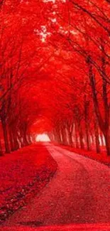 Mobile wallpaper of a vibrant red forest pathway.