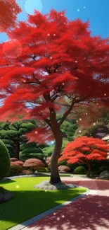 Vibrant red tree in a serene Japanese garden under a blue sky.