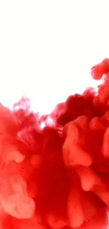 Dynamic red ink swirling on a bright background.