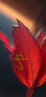 Close-up of a vibrant red leaf with a soft background.