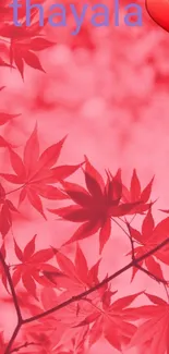 Red leaves create a vibrant, artistic phone wallpaper.