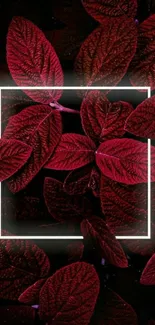 Vibrant deep red leaf wallpaper with a geometric frame.