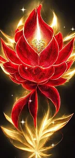 Vibrant red lotus with gold glow on black.