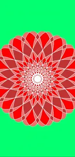 Vibrant red mandala on a green background mobile wallpaper.