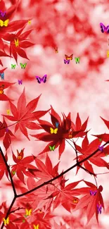 Vibrant red maple leaves on a mobile wallpaper.