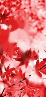 Abstract red maple leaves wallpaper for mobile devices.