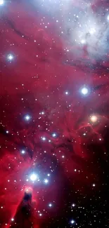 Mobile wallpaper of a vibrant red nebula with stars in deep space.