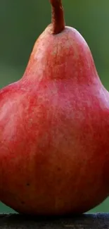 Vibrant red pear on a natural background.