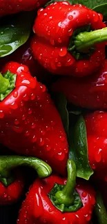 Vibrant red bell peppers with green leaves