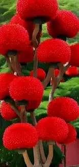 Mobile wallpaper featuring a tree with vibrant red pom pom-like flowers.