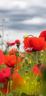 Mobile wallpaper of blossoming red poppies under a cloudy sky.