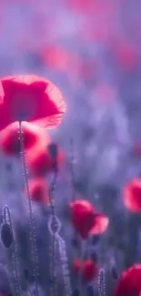 Red poppies bloom vibrantly in a lush and serene field.