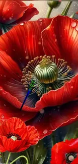 Vibrant red poppy flowers beautifully displayed in a mobile wallpaper format.