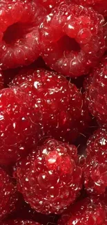 Close-up of fresh red raspberries in vibrant detail.