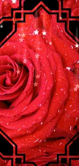 Red rose with droplets and star patterns on a vibrant mobile wallpaper.