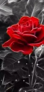 A vibrant red rose with an artistic dark background.