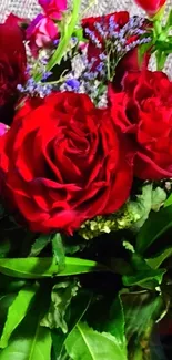 Stunning mobile wallpaper featuring vibrant red roses and lush greenery.