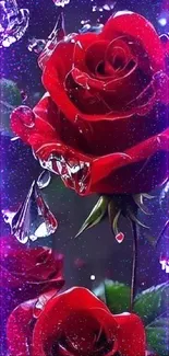 Red rose with dew drops and galaxy effect.