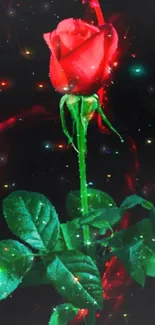 Vibrant red rose on dark background with colorful lights.