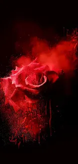 Mobile wallpaper featuring a vibrant red rose with a dark background.