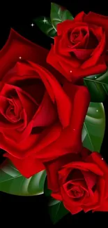 Vibrant red roses with green leaves on a black background wallpaper.