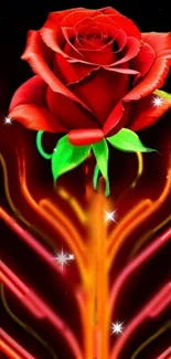 Vibrant red rose with glowing neon accents on a dark background.