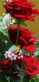 Mobile wallpaper featuring red roses and small birds with a green leafy backdrop.