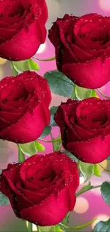 Vibrant red roses with green leaves on a colorful background.