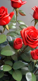 Vibrant red roses with green leaves.