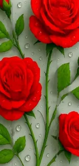Vibrant red roses with fresh dew on leaves.